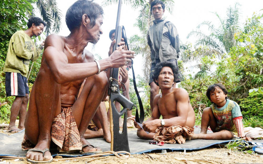 1.562 Jiwa SAD Jambi Tercatat untuk Pemilu