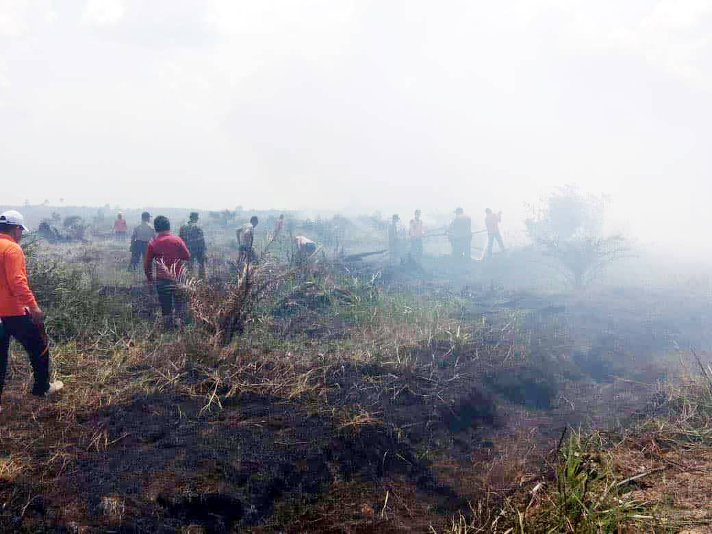 10 Hektare Lahan di Kecamatan Betara Terbakar