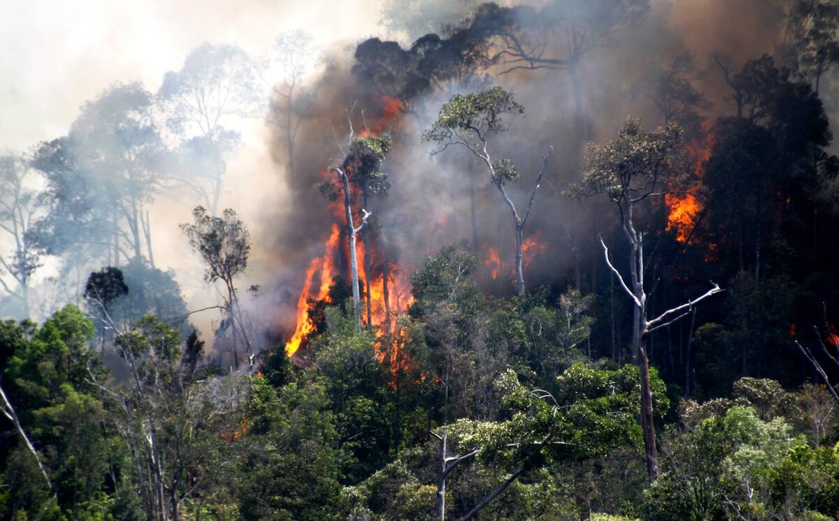 10 Titik Panas Terdeteksi Di Jambi