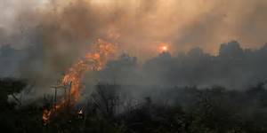 11 kali Kebakaran Lahan di Betara dan Senyerang