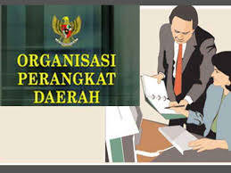 15 OPD Dideadline Inventarisir Aset