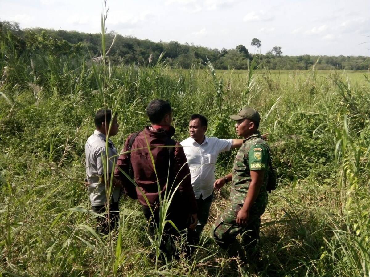 2018 Dinas Pertanian Targetkan 500 Hektar Perluasan Lahan Sawah