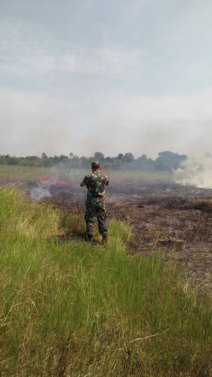 3 Ha Lahan di Kumpeh Ludes Terbakar