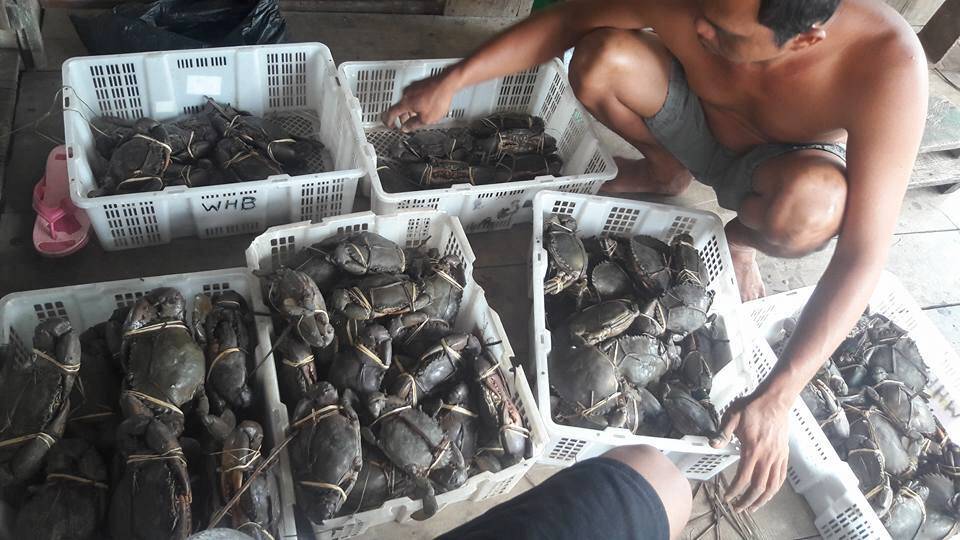 Ajukan Proposal Minta Bantuan, Kadis Heran