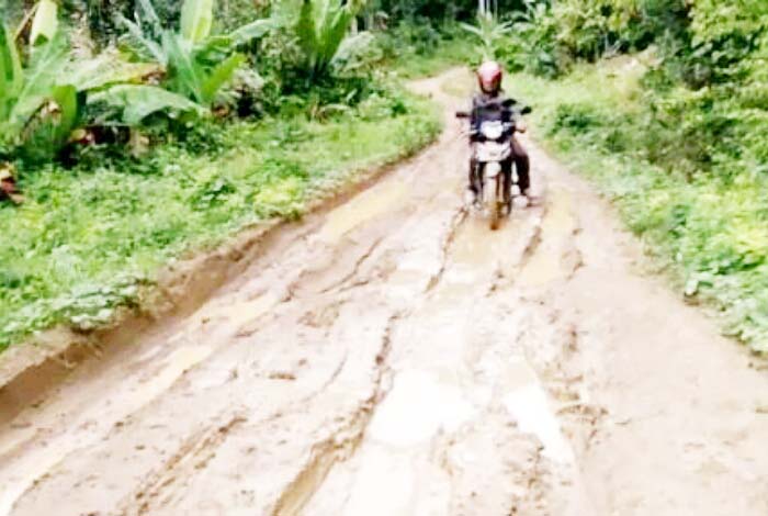Akibat Jalan Rusak, Ibu Hamil di Tanjab Timur Meninggal Dunia