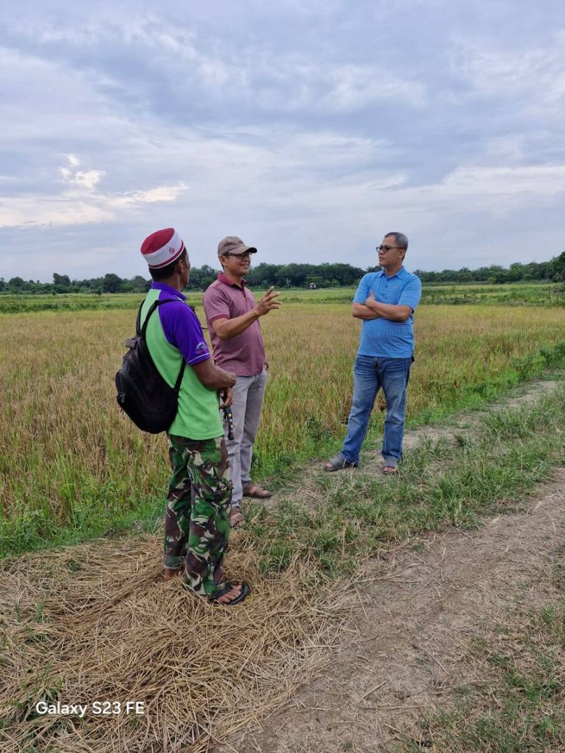 Anggota DPRD Tengok Langsung Sawah Padi Olak Kemang