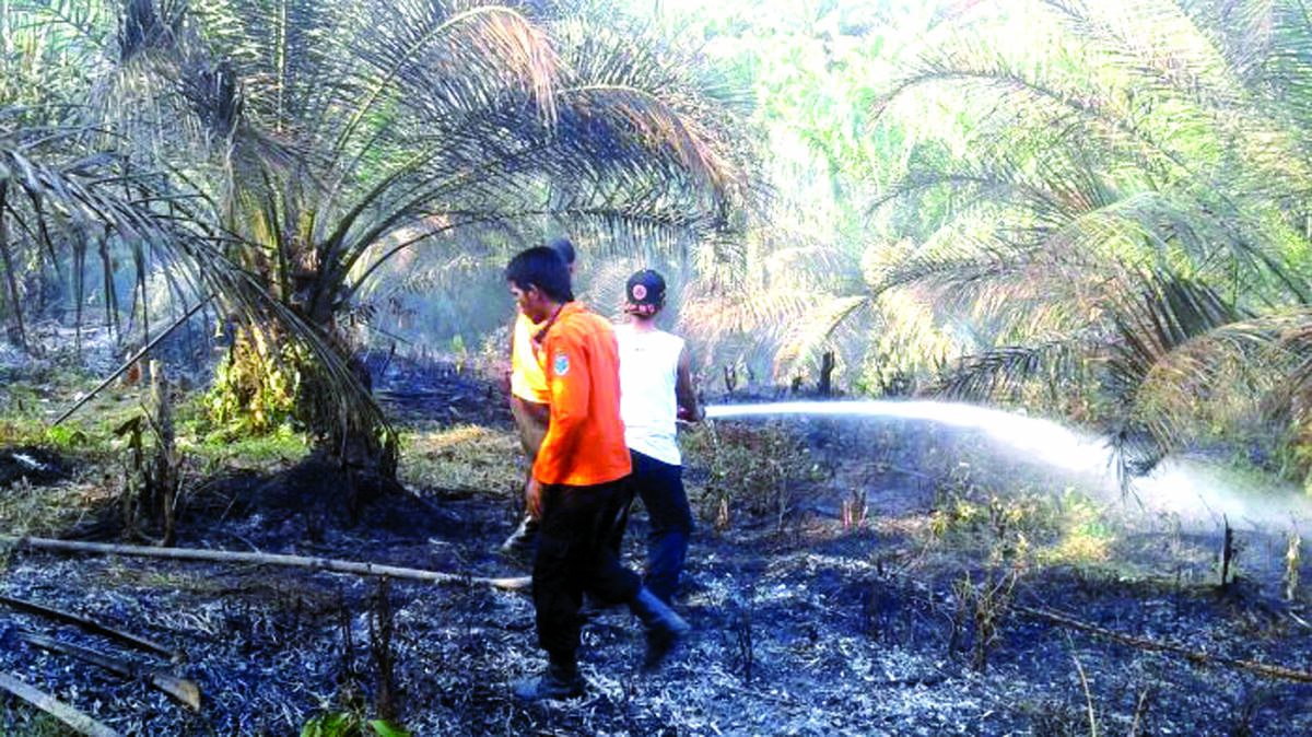 Bakar Lahan, Keling Ditangkap