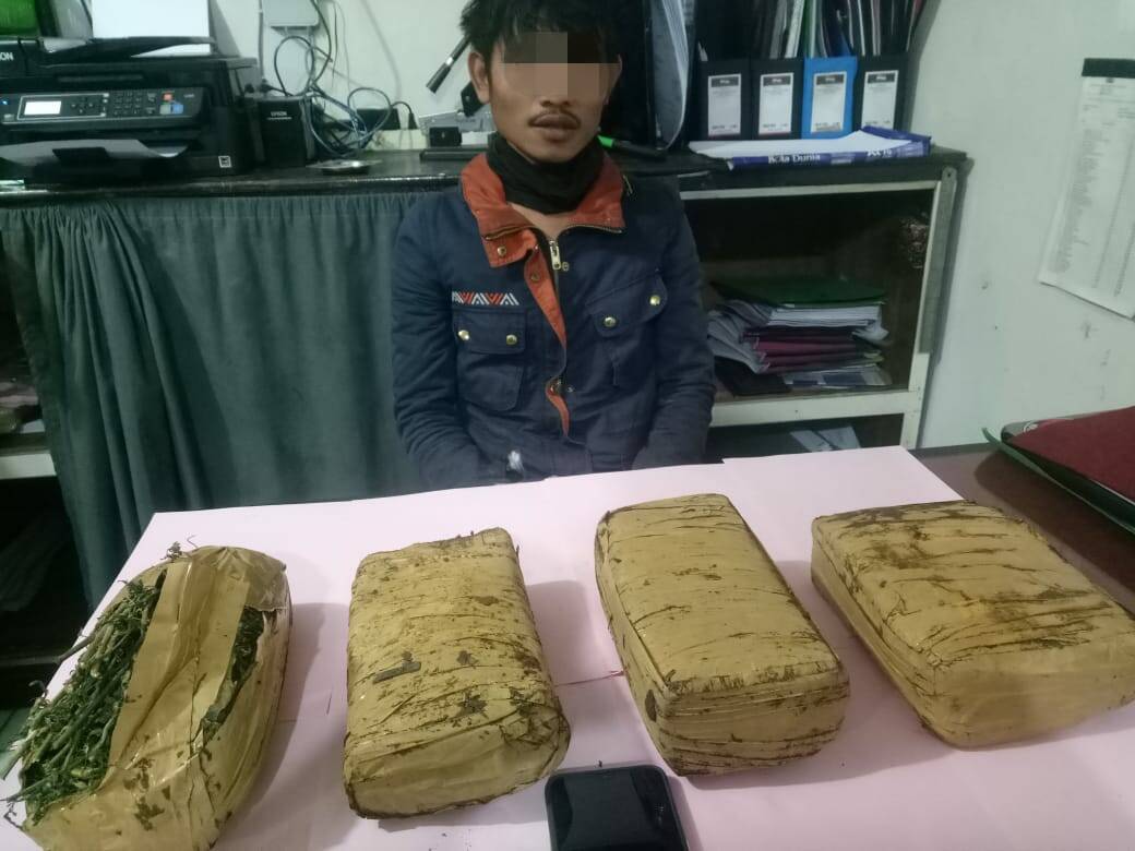 Bandar Ganja Ditangkap Polres Kerinci, Barang Bukti Disimpan dalam Tanah