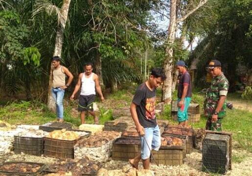 Bantu Petani, Pemkab Musi Banyuasin Beli Karet Rp20 Ribu Perkilo