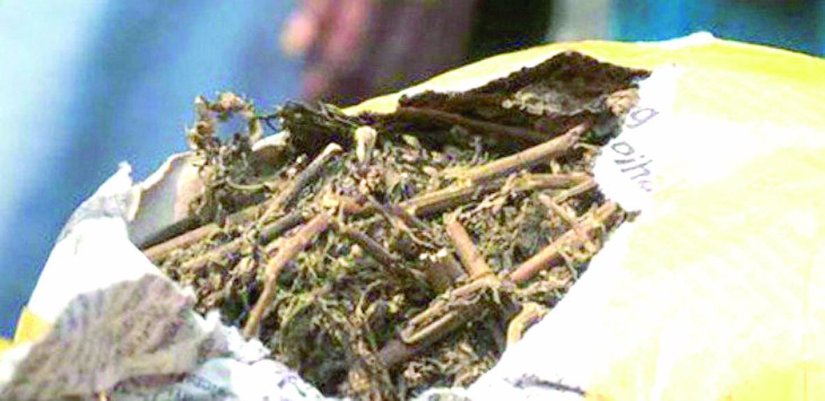 Bawa Ganja, Onkum Pegawai Lapas Diserahkan ke Polresta