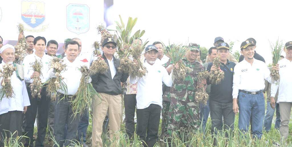Bawang Putih Merangin Jadi Pilot Projek Sumatera