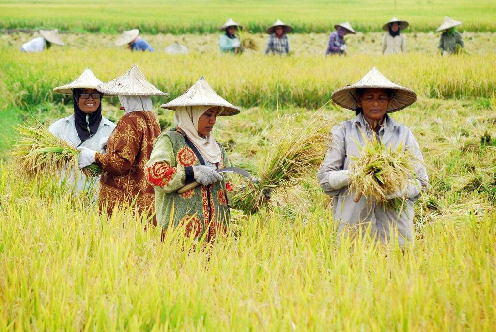 Belanja Pemprov Jambi Bertambah Rp155,9 Miliar