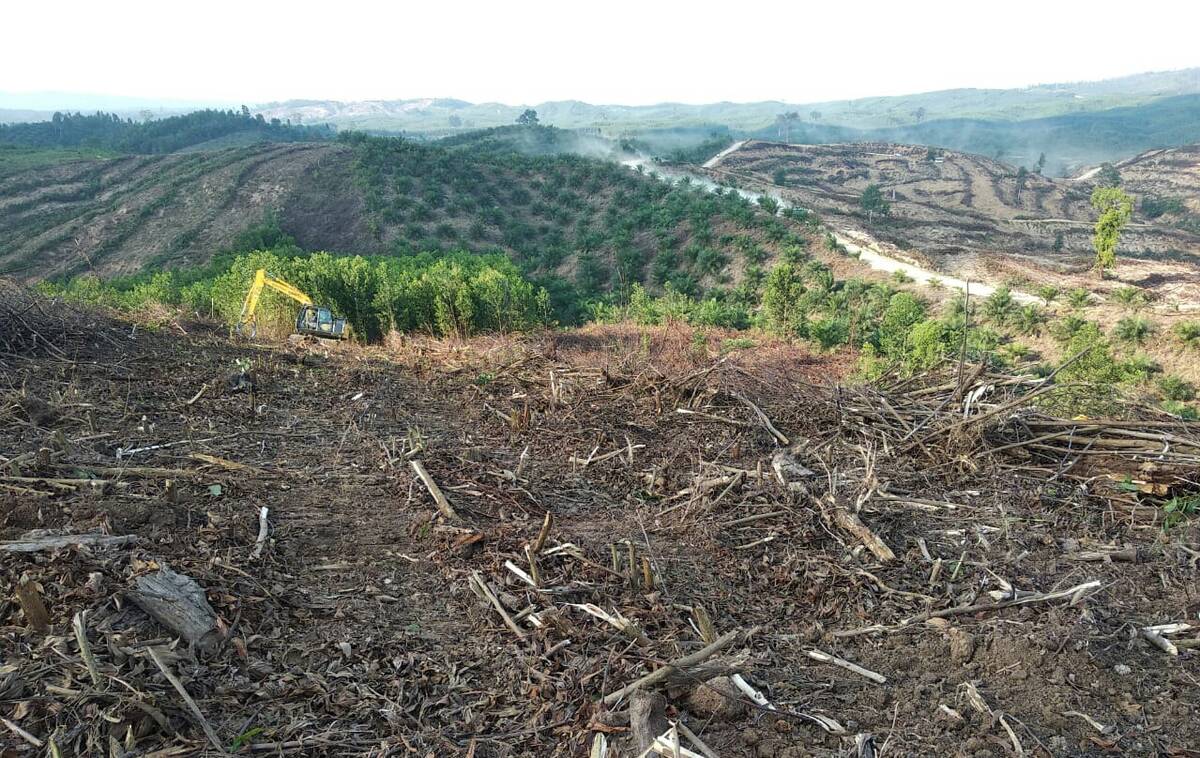 Besok Ribuan Orang Turun ke Jalan, Malam Ini Nginap di Kota Jambi
