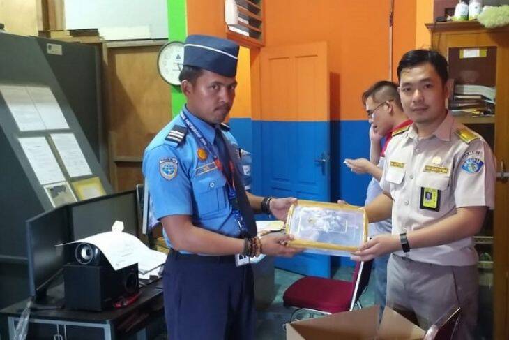 BKIPM dan Avsec Bandara Jambi Gagalkan Pengiriman Anak Buaya
