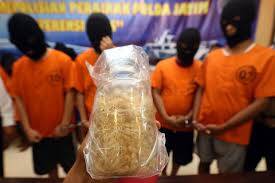 BKIPM Jambi Kawal Sidang Putusan Penyeludup Lobster