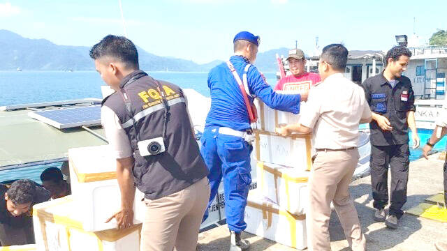 BKIPM Jambi Lepasliarkan Benih Lobter Hasil Tangkapan Kepolisian
