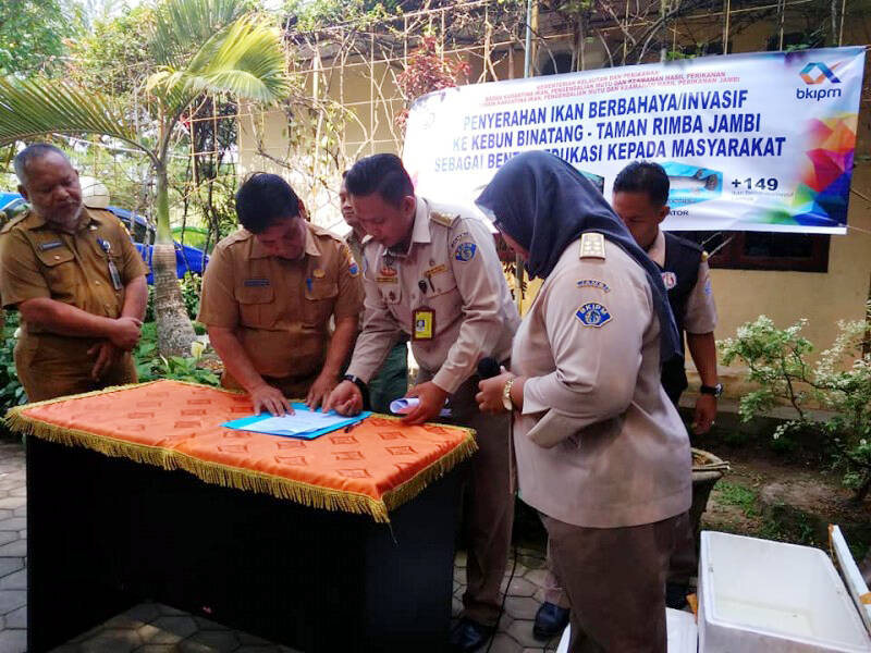BKIPM Serahkan Ikan Aligator Ke Kebun Binatang