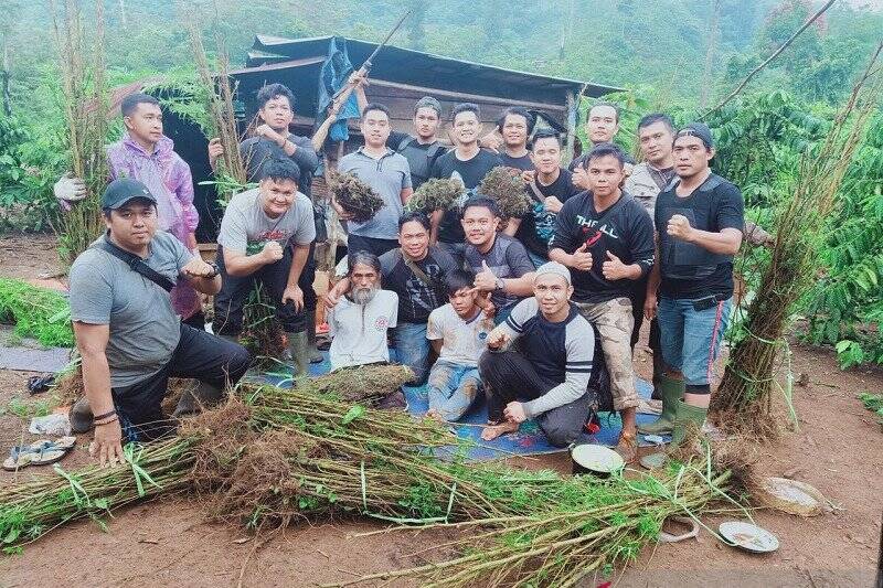 BNN Tolak Penggunaan Ganja untuk Medis