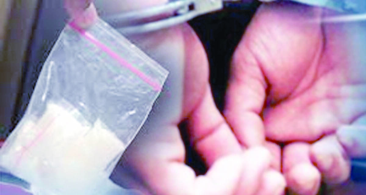 BNNP Jambi Tangkap Suami Istri Bawa Sabu-Sabu