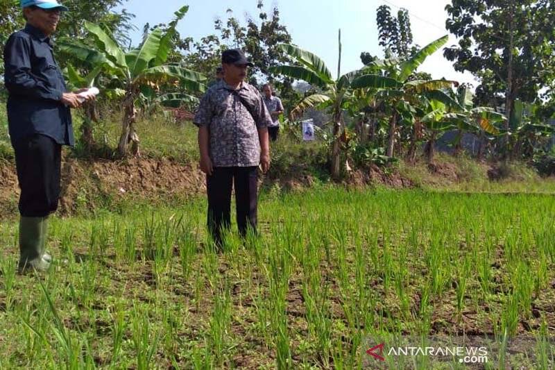 BNPB: Beberapa Wilayah Di Tiga Provinsi Mulai Kekeringan