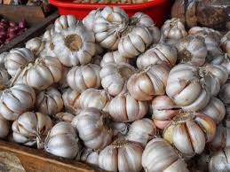 BPP Jambi Gelar Pelatihan Tematik Bawang Putih