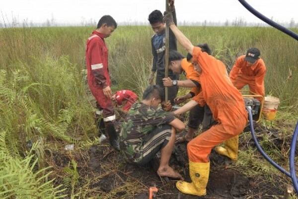 BRG Petakan Wilayah Restorasi Lahan Gambut