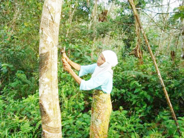 Bulan September Perdesaan Jambi Deflasi 0,72 Persen