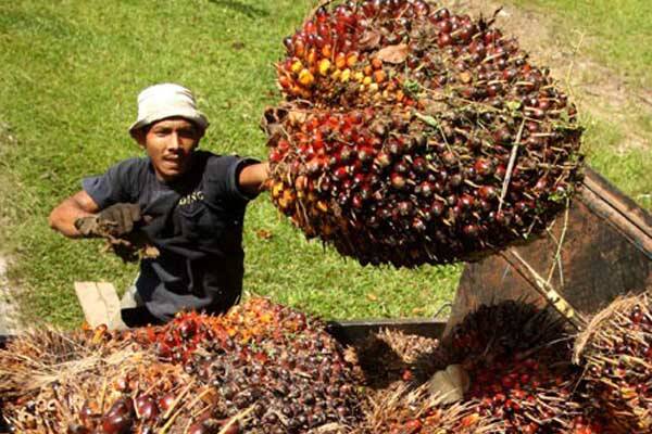 Bupati Respon Himbauan Gubernur Jambi