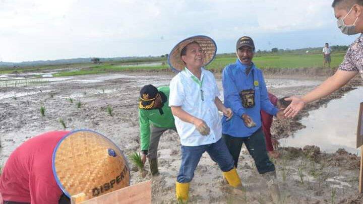 Bupati Syahirsah Serahkan Bantuan Kelompok Tani