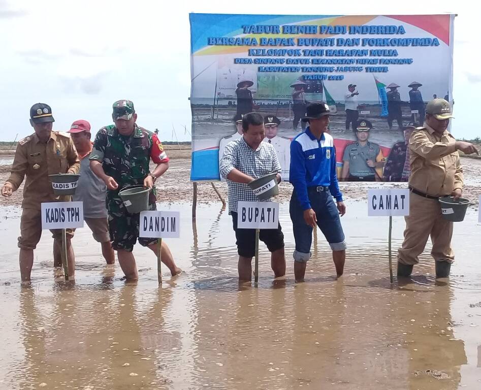 Bupati Tanjabtim dan Forkompimda Tabur Benih Padi Indbrida di Simpang Datuk