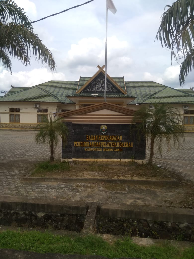 Calo Penerimaan CPNS Berkeliaran