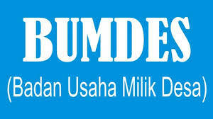 Camat dan Kades Digembleng Pengelolaan Bumdes