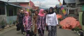 Chairunnisa Tinjau Desa Percontohan PKK di Sungai Penuh