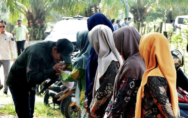 Desa Pasar Terusan Panen Padi Setahun Dua Kali