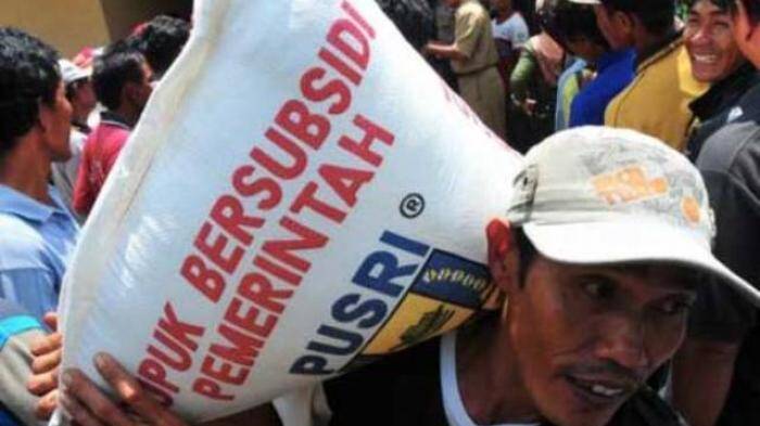Desakan Cabut Pupuk Subsidi, Dewan: Boleh Saja