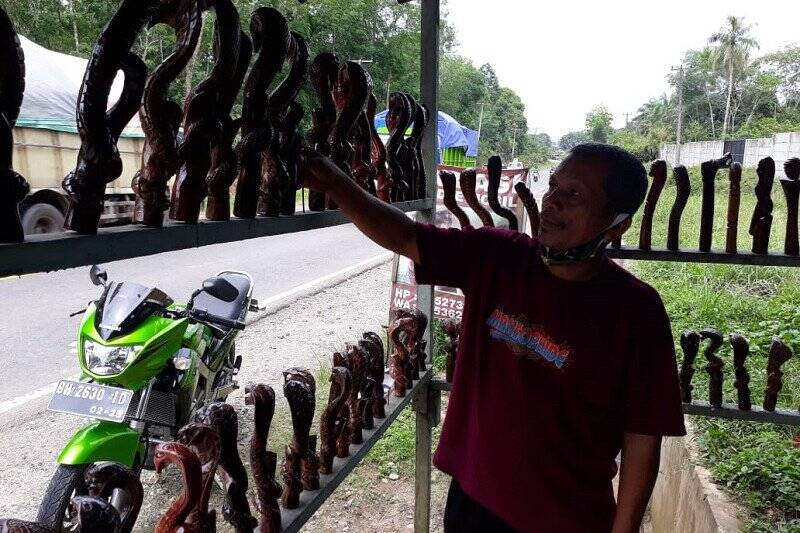 Di Muaro Jambi, Ada Ular ‘Kobra’ Temani Pengemudi