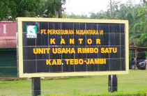 Diduga Cemari Sungai Alai, Limbah PTPN VI Tunggu Hasil Lab