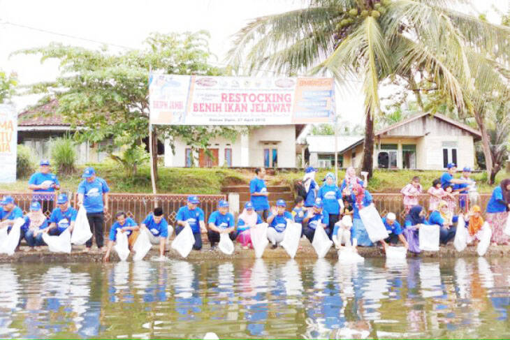 Dilepasliarkan 15.000 Ikan Jelawat di Danau Sipin