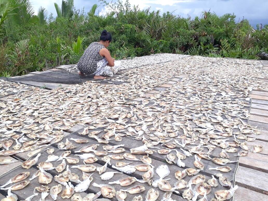 Dinas Muko-muko Akan Surati Balai Perikanan Sungai Gelam
