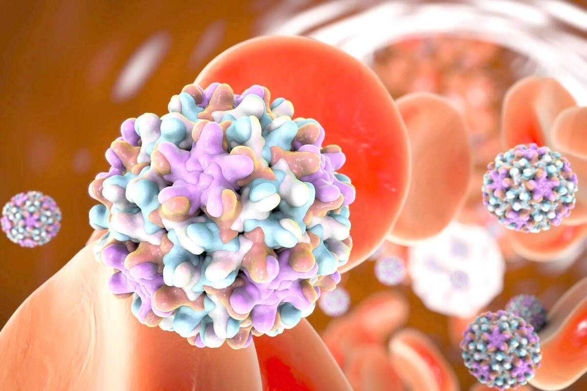 Diskes Temukan 9 Ibu Hamil Penderita Hepatitis B