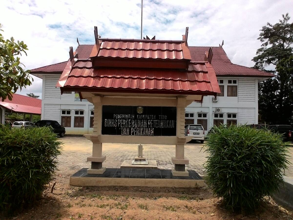 DPPP Jamin Persiapan Hewan Kurban Hadapi Idul Adha Terpenuhi