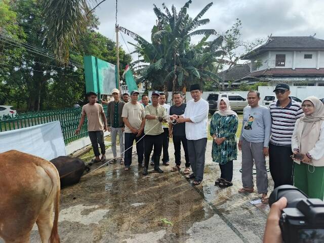 DPW PKB Provinsi Jambi Sembelih 3 Ekor Sapi Qurban