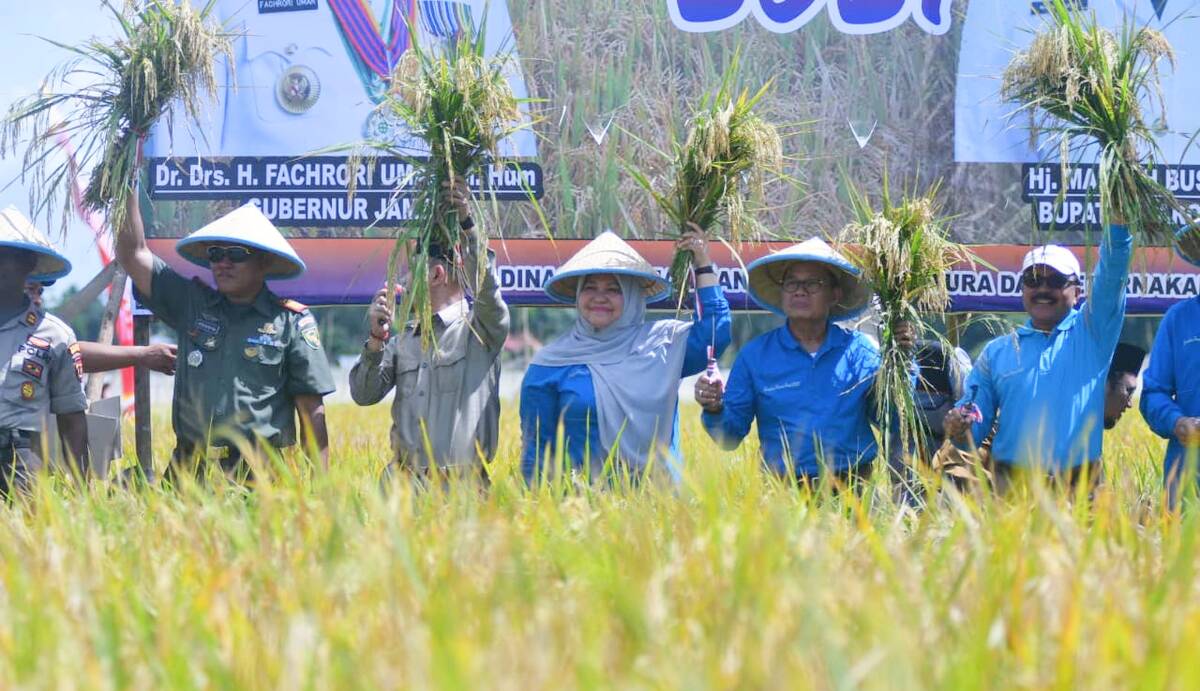 Fachrori: Pemerintah Bersinergi Memacu Peningkatan Produksi Pangan