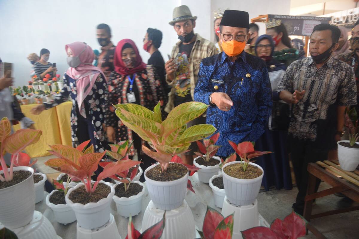 Festival Bunga Diharapkan Fachrori Bawa Manfaat Ekonomi
