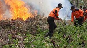 Gelar ‘Briefing’, Posko Karhutla Bahas Hasil Pantauan Hotspot