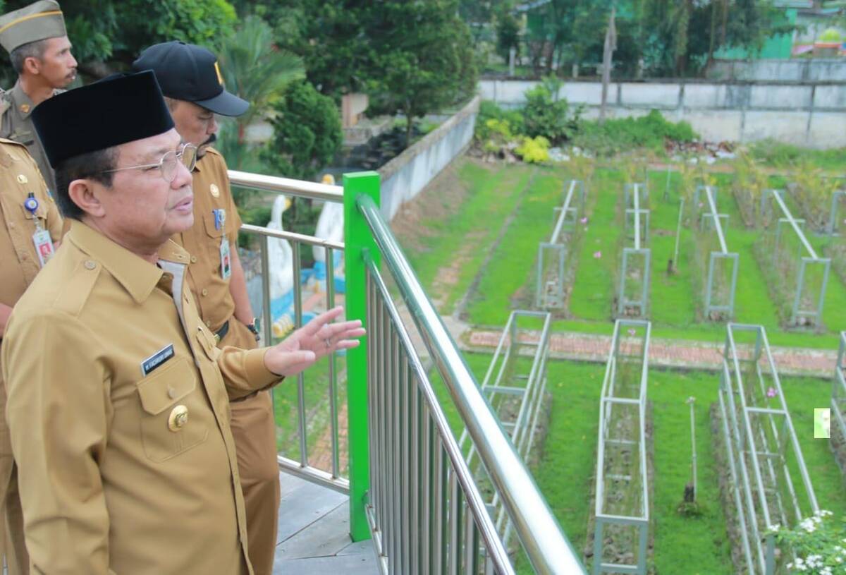 Gubernur Jambi Fachrori Umar akan Tambah Koleksi Taman Anggrek