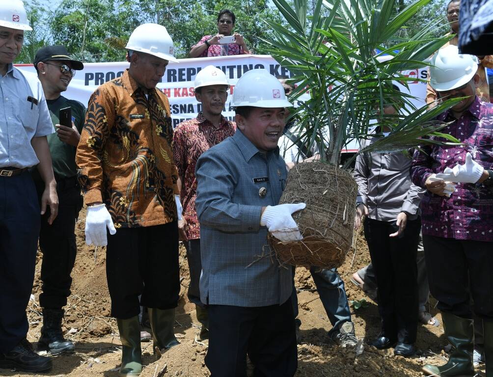 H Al Haris Tanam Perdana Program Replanting Sawit