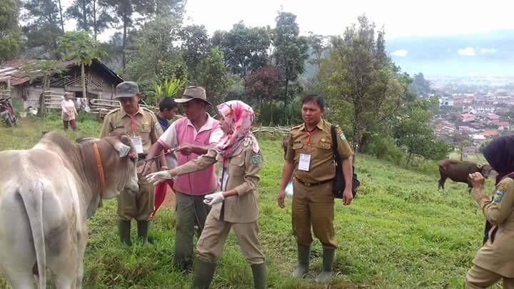 Hand Sanitizer Harus Disediakan Panitia Qurban