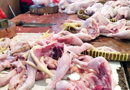 Harga Ayam di Jambi Mulai Stabil