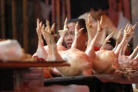 Harga Ayam Potong MeroketHarga Ayam Potong Meroket